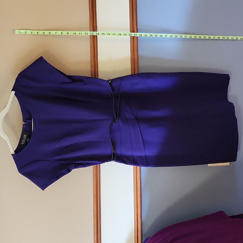 Evan Picone Black Label Purple dress